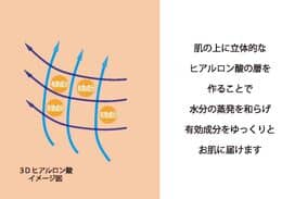 ３Dヒアルロン酸イメージ図解