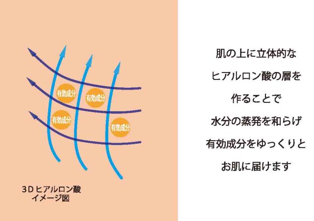 3Dヒアルロン酸立体図